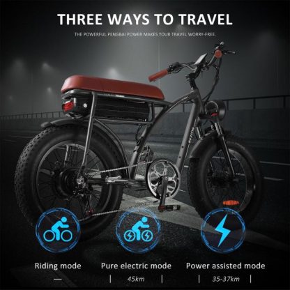 Cycling |  20″ 1000W Electric Bicycle with 48V 12.5Ah Battery for Adult Cycling Black