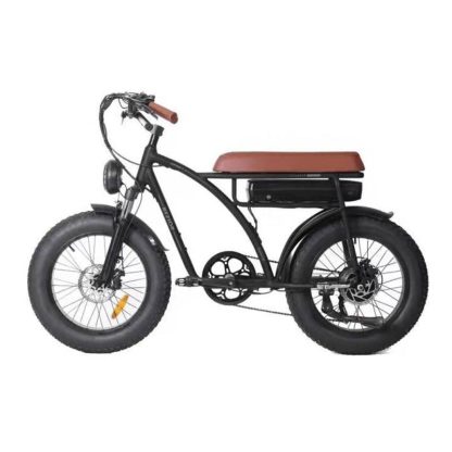 Cycling |  20″ 1000W Electric Bicycle with 48V 12.5Ah Battery for Adult Cycling Black