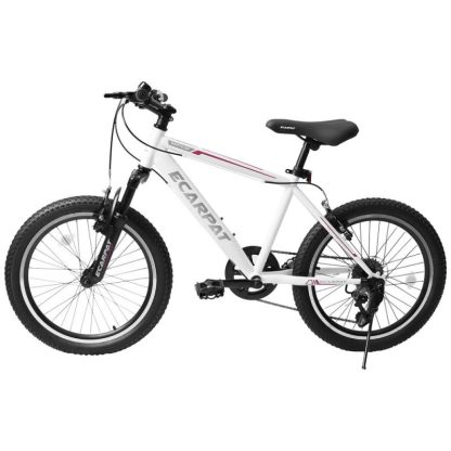 Cycling |  20 Inch Kids Montain Bike Gear Shimano 7 Speed bike Cycling Cycling