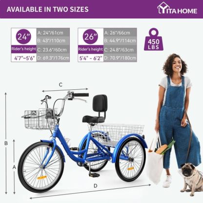 Cycling |  24″ /26″Blue Adult Tricycle 3 Wheel Bikes 1 Speed Trike Bike Cycling Cycling