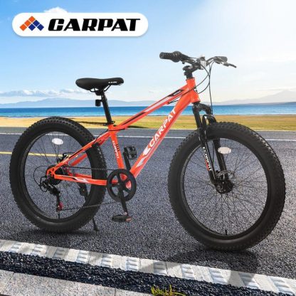 Cycling |  24 Inch Fat Tire Bike Full Shimano 7 Speeds Mountain Bike, Dual Disc Brake, High-Carbon Steel Frame,Urban Commuter City Bicycle Cycling Cycling