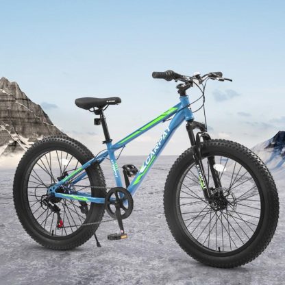 Cycling |  24 Inch Fat Tire Bike Full Shimano 7 Speeds Mountain Bike, Dual Disc Brake, High-Carbon Steel Frame,Urban Commuter City Bicycle Cycling Cycling