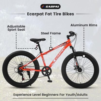 Cycling |  24 Inch Fat Tire Bike Full Shimano 7 Speeds Mountain Bike, Dual Disc Brake, High-Carbon Steel Frame,Urban Commuter City Bicycle Cycling Cycling