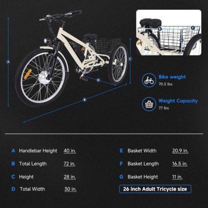 Cycling |  36V Fat Tires Electric Tricycle Adult 3 Wheel Electric Bicycle with Basket Cycling Cycling