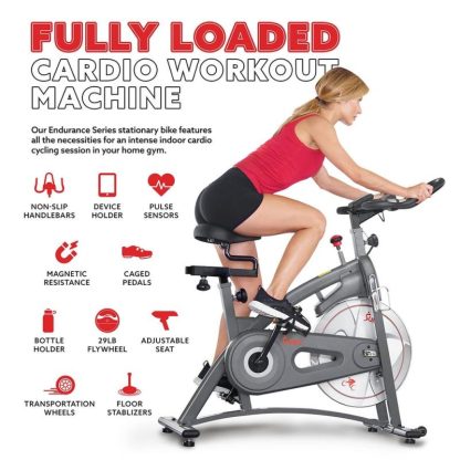 Cycling |  Endurance Indoor Exercise Cycle Bike – SF-B1877 Cycling Cycling