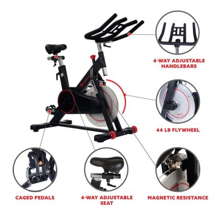 Cycling |  Premium Magnetic Belt Drive Indoor Cycling Stationary Exercise Bikes with Optional SunnyFit App Enhanced Bluetooth Connectivity Cycling Cycling