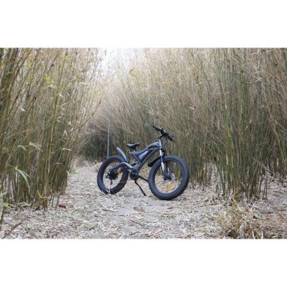 Cycling |  S18 26″ 750W Electric Bike Fat Tire 48V 15AH Removable Lithium Battery for Adults Cycling Cycling