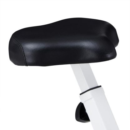 Home Gyms |  Virgil White Exercise Bike Chair Classic Home Gyms Home Gyms