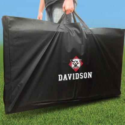 Lawn Games |  Davidson Stained Stripe Outdoor Cornhole Board Set Lawn Games Lawn Games