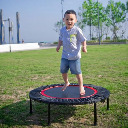 Trampolines |  40 Inch Mini Exercise Trampoline for Adults or Kids Sports & Fitness Trampolines